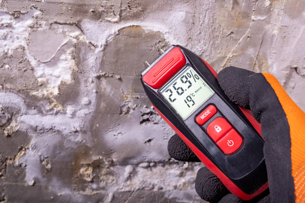 Attic Mold Removal in Cincinnati, OH