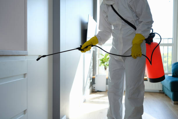 Best Mold Damage Repair  in Cincinnati, OH