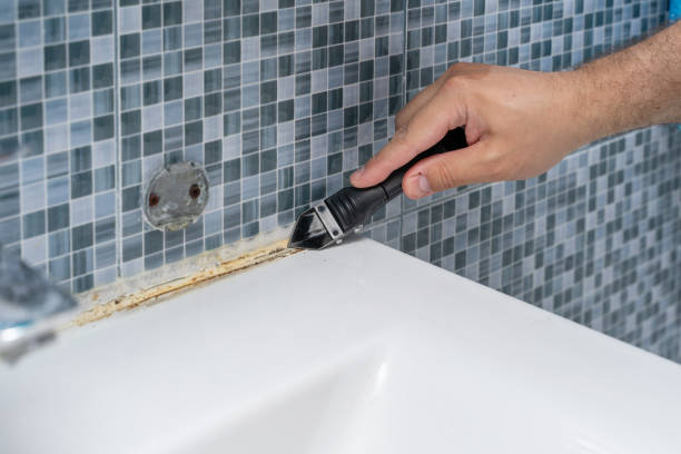 Best Local Mold Removal Service  in Cincinnati, OH
