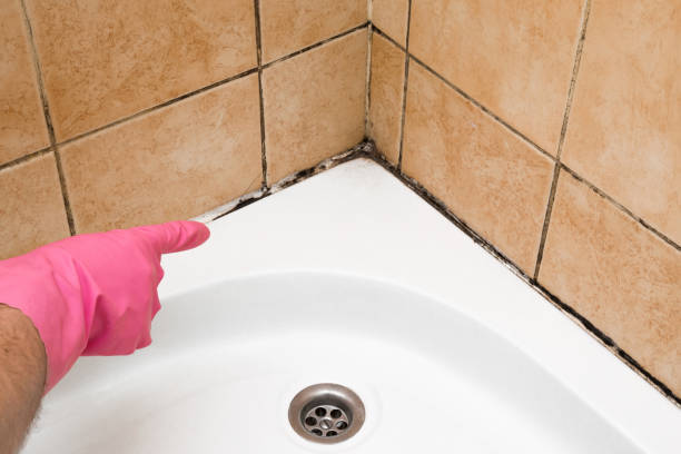 Best Mold Testing  in Cincinnati, OH